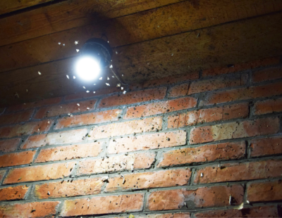 Image showing an outside lightbulb with insects flying around it