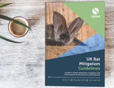 CIEEM UK bat mitigation guidance document on desk next to cup of coffee